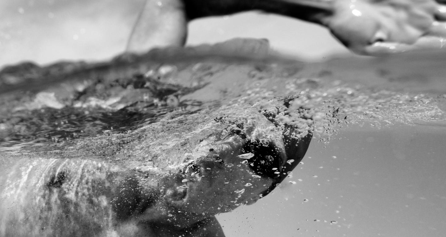 Header Image Sports